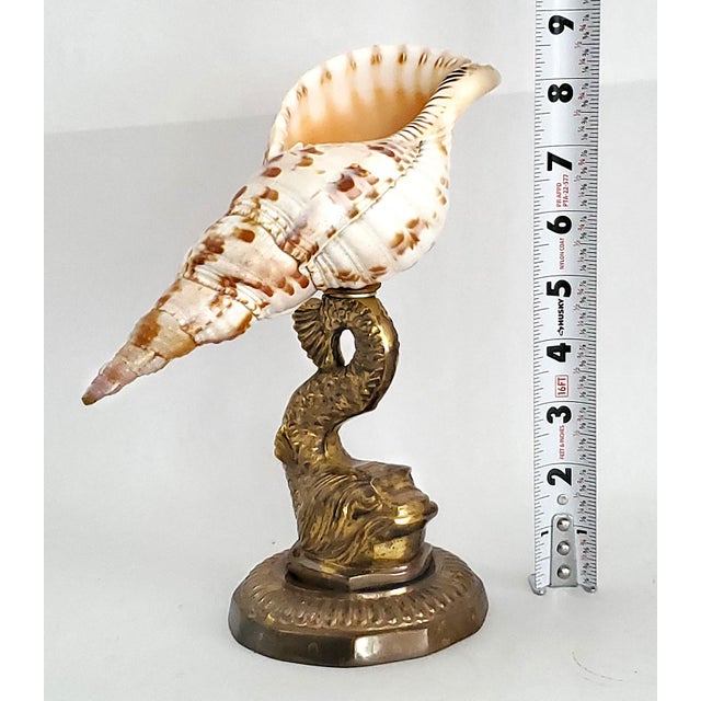Nautical Seashell Shell Specimen Sculpture on Antique Brass Koi Fish Base For Sale - Image 3 of 10