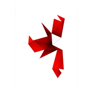 Contemporary Abstract Photographic C-Print on Canson Platine Fibre Rag "Universals Foldouts 07022012 Red" by Anne Senstad