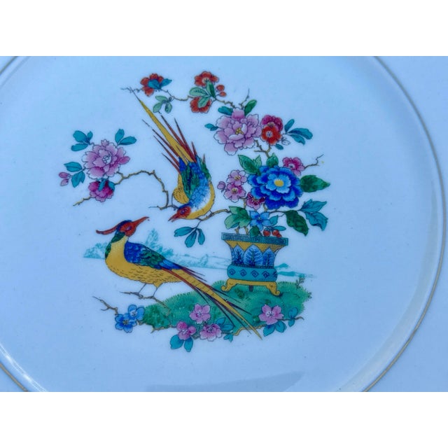 Vintage Lamberton China Audubon Collection - Bird of Paradise - 8 Dinner Plates For Sale - Image 4 of 13