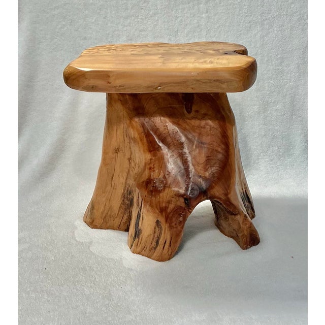 Mid-Century Modern Birdseye Maple Natural Tree Stump Side Accent Table For Sale - Image 3 of 12