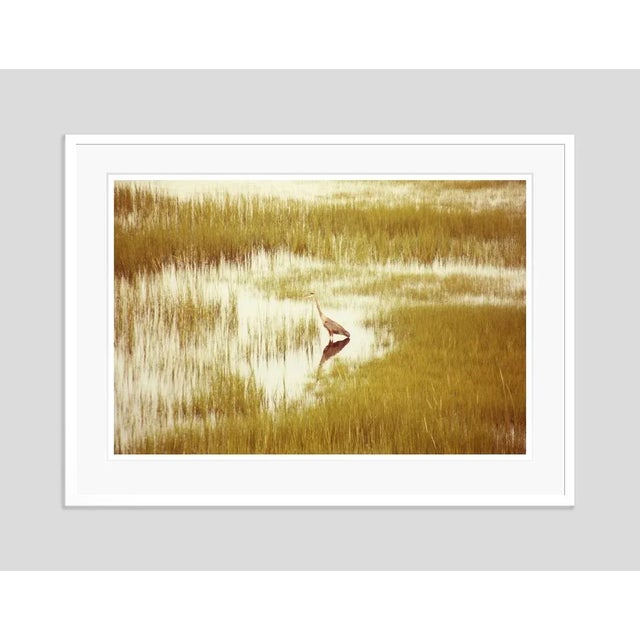 Modern Massachusetts Heron by Stuart Möller Framed For Sale - Image 3 of 3