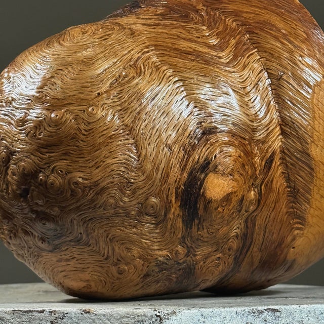 Wood Vintage Abstract Organic Modern Burl Wood Sculpture For Sale - Image 7 of 10