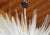 Glass 21st Century Puntali Sputnik Chandelier by Fabio LTD For Sale - Image 7 of 7