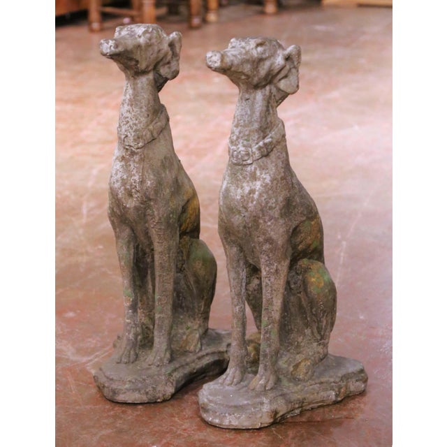 2010s Pair of Vintage French Outdoor Weathered Carved Stone Greyhound Dog Sculptures For Sale - Image 5 of 8