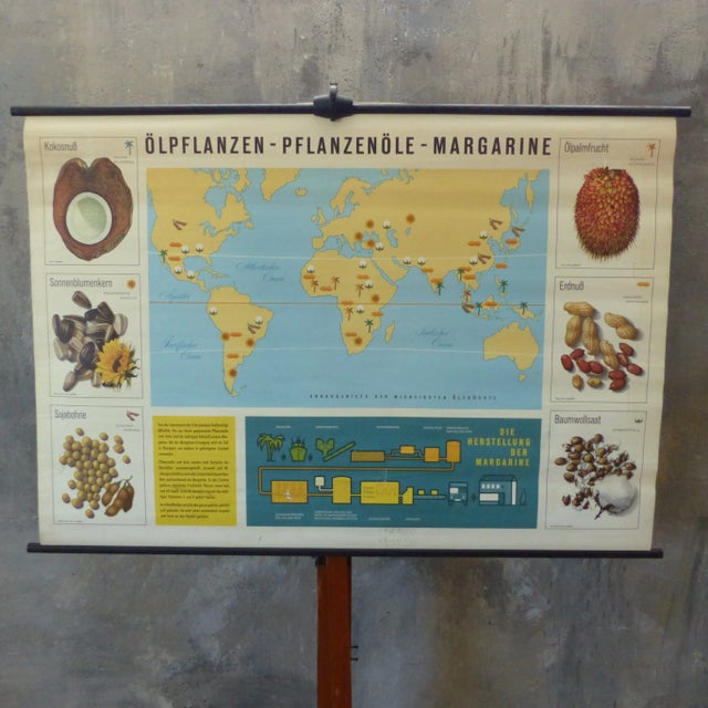 Vintage Educational Plant Chart For Sale - Image 4 of 4