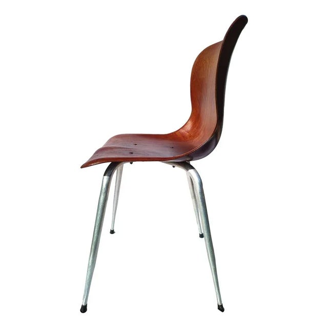 Wood 15074/II Chair by Elmar Flötotto for Pagholz, 1960s For Sale - Image 7 of 8