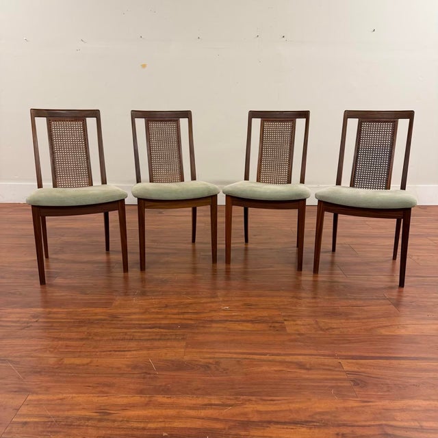 G-Plan Furniture G-Plan Cane Back Dining Chairs Set of 4 For Sale - Image 4 of 5