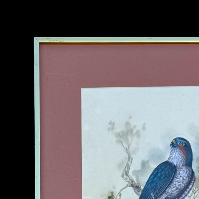 Vintage 1985 Watercolor of Hawk – Signed Bird Painting in Gold Frame For Sale - Image 4 of 6