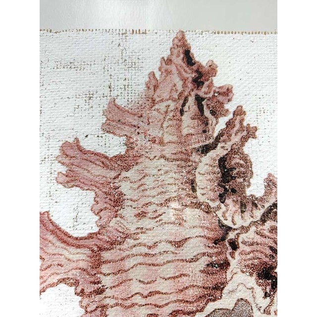 Contemporary Lace Murex — Hand Textured Pink Seashell Art For Sale - Image 3 of 9
