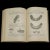 Paper 1893's Set of 2 Dentistry Reference Books For Sale - Image 7 of 12