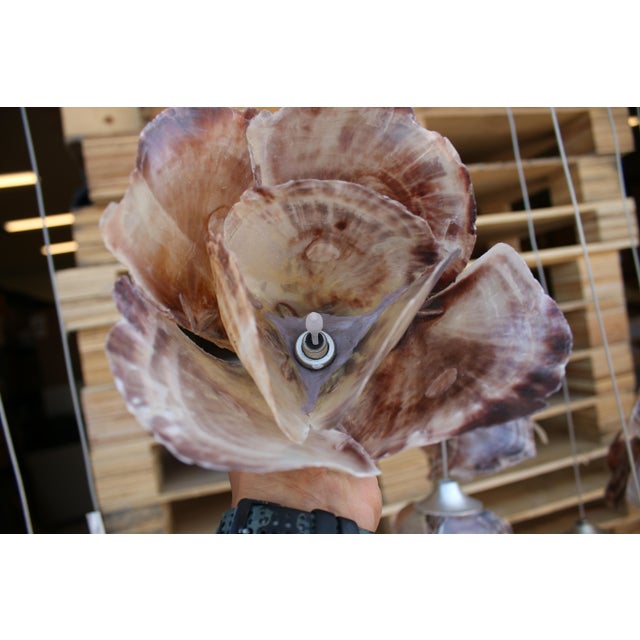 Currey & Company Catrice 15 Light Linear Pendant With Shell Shades For Sale - Image 9 of 11