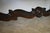 1930s Walnut Kittinger Server For Sale - Image 9 of 13