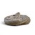 Coiled Rattlesnake Chalkware Sculpture For Sale - Image 4 of 7