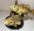 Green Vintage Hand Carved Painted Wood Burl Fish Two Bass Sculpture Statue Figure Art For Sale - Image 8 of 11