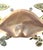 Los Castillo Vintage, Mid Century Los Castillo Style Brass, Copper & Abalone Crab Trinket Dish / Vide Poche / Catchall For Sale - Image 4 of 7