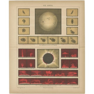 Antique Solar Study Chart, 1890s For Sale