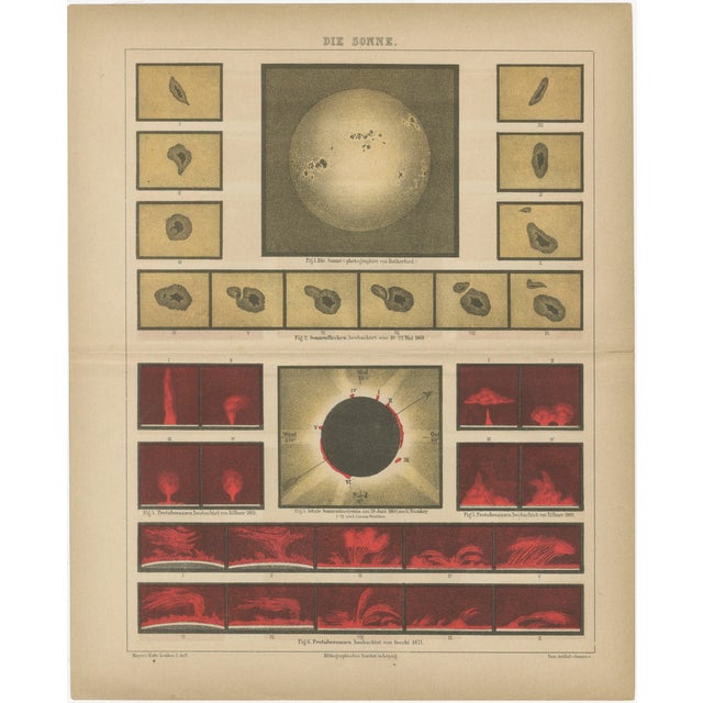Antique Solar Study Chart, 1890s For Sale