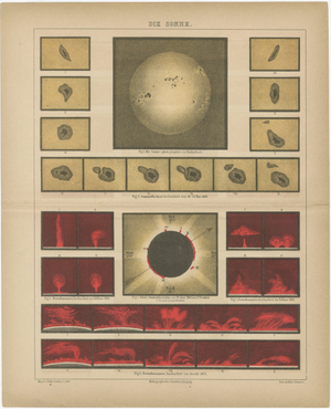 Antique Solar Study Chart, 1890s