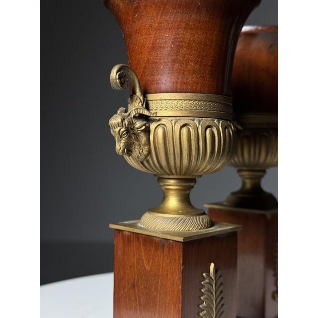 Mahogany Vases, 19th Century, Set of 2 For Sale - Image 14 of 18