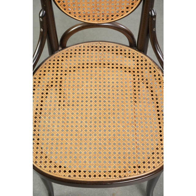 Wood Vintage Long John Webbing Dining Chairs from Thonet, Set of 6 For Sale - Image 7 of 18