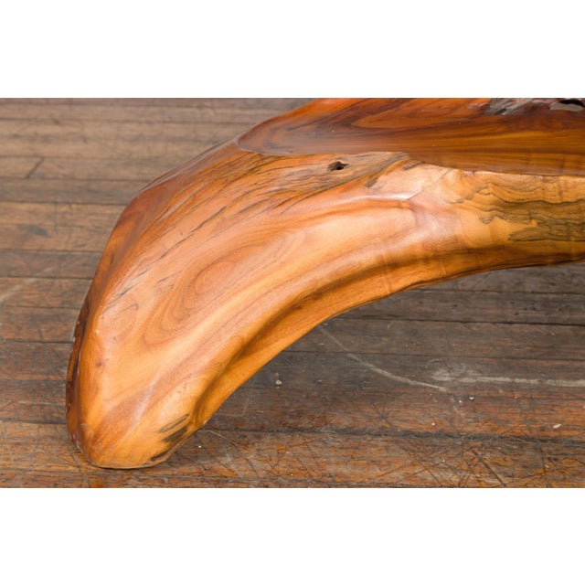 Indonesian 20th Century Lacquered Root Stand Drilled to Work as a Fountain For Sale - Image 9 of 13