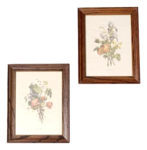 Vintage Framed Botanical Prints by Jl Prevost Set