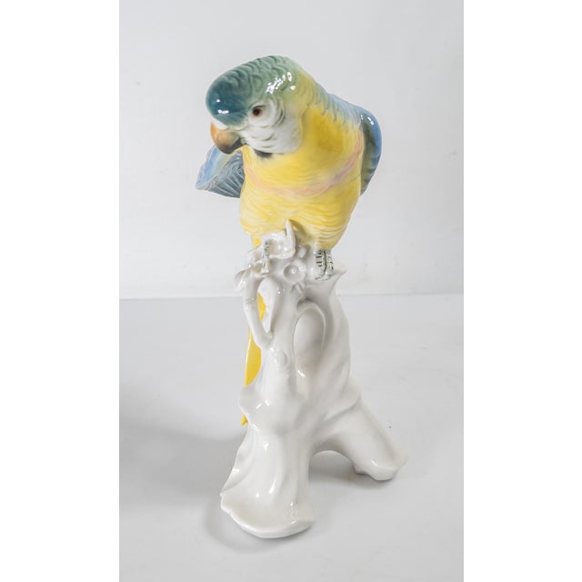 French Early 20th Century German Porcelain Macaw Parrot Figure by Karl Ens For Sale - Image 3 of 10