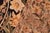 Designed with mesmerizing intricacy and gorgeous color palette, this hand-knotted masterpiece demonstrates the beauty and...