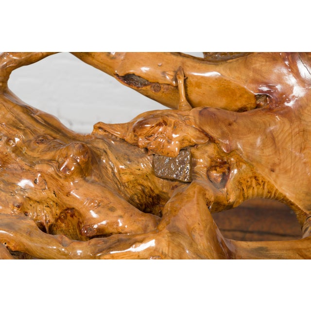 Rustic Vintage Chinese Camphor Wood Tree Root Armchair with Light Varnish For Sale - Image 11 of 12