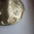 Coral Topped Hand-Carved Gold-Plate Black & White Round French Ceramic Box For Sale - Image 10 of 11