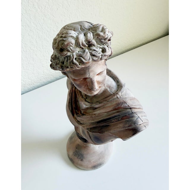 Gray Classical Bust of Apollo Belvedere, Early 21st Century For Sale - Image 8 of 12