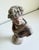 Gray Classical Bust of Apollo Belvedere, Early 21st Century For Sale - Image 8 of 12