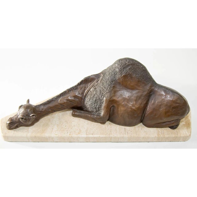 Bronze Resting Camel Sculpture on Marble Stand French School For Sale - Image 12 of 13