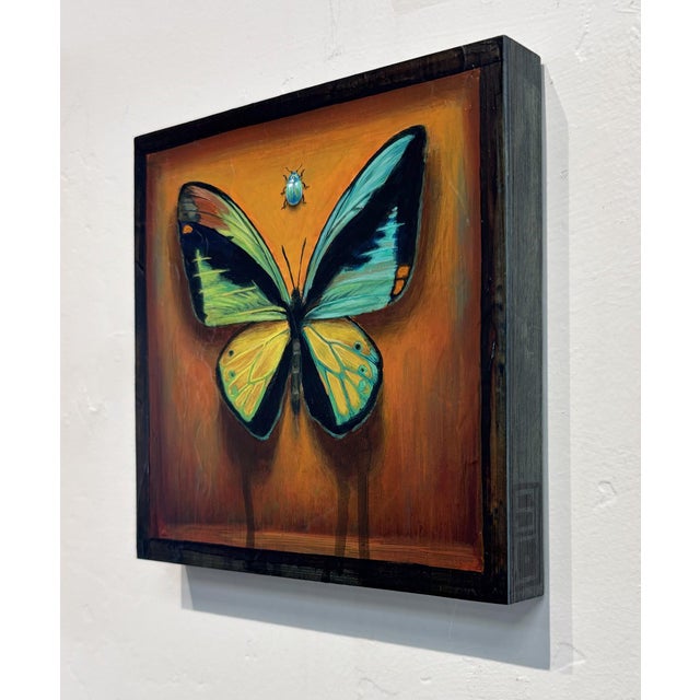 Contemporary Hybrid Butterfly 66 by Stacy D'Aguiar | Acrylic on wood depicting a colorful butterfly and beetle. For Sale - Image 3 of 5