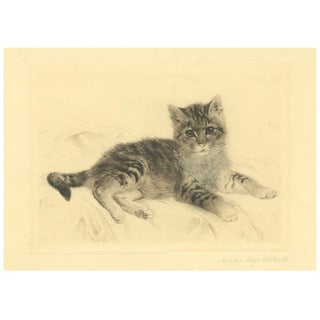 Kurt Meyer-Eberhardt, Cat Etching, 1980s, Paper For Sale
