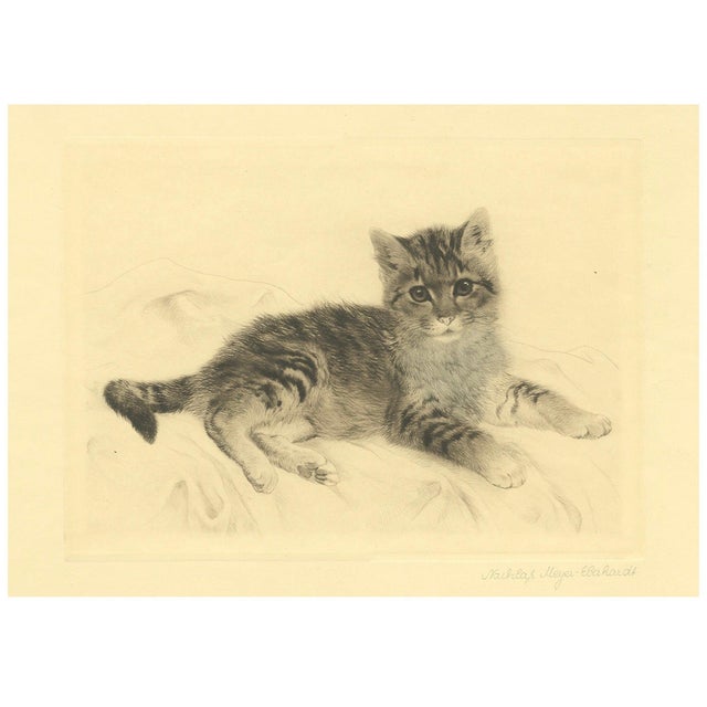 Kurt Meyer-Eberhardt, Cat Etching, 1980s, Paper For Sale