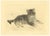 Kurt Meyer-Eberhardt, Cat Etching, 1980s, Paper For Sale