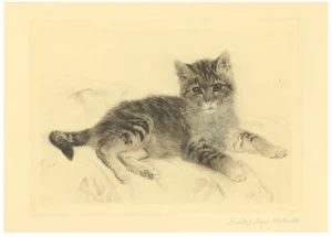 Kurt Meyer-Eberhardt, Cat Etching, 1980s, Paper