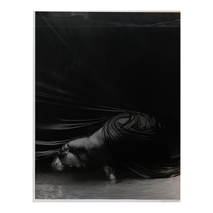 Original Gary Heery 'pygmy Hippo' Photograph - Australia Photographer - Madonna