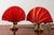 Gold Hollywood Regency Brass Fan Table Lamps, 1970s, Set of 2 For Sale - Image 8 of 13