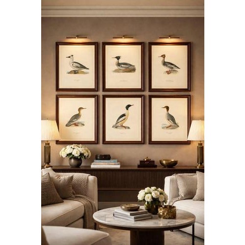 Antique Merganser Duck Lithographs, Sweden, 1929, Set of 6 For Sale - Image 9 of 10