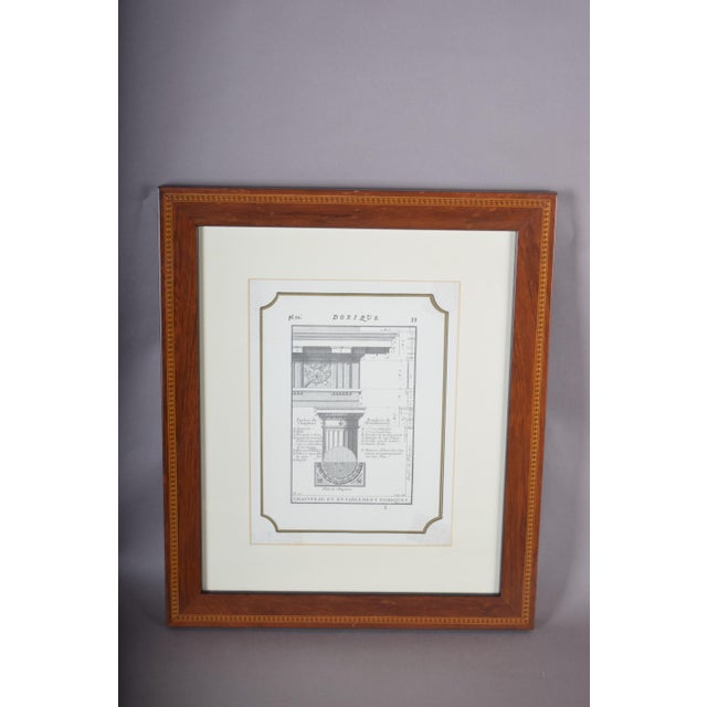 Architectural Illustrations of Classical Columns, 19th Century, Engravings, Framed, Set of 4 For Sale - Image 6 of 8