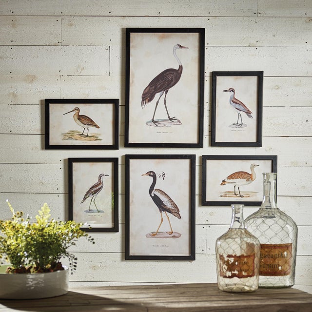 Contemporary Waterfowl Gallery, Set Of 6 For Sale - Image 3 of 3