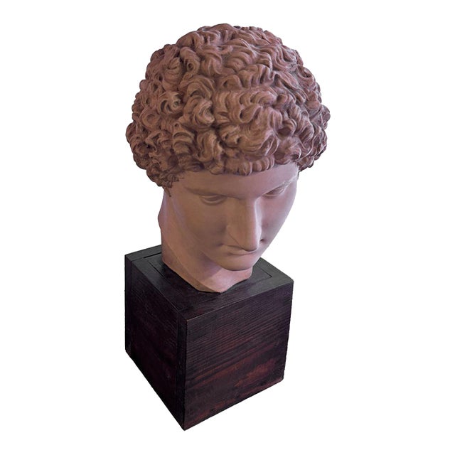 Classical Roman Terracotta Bust For Sale