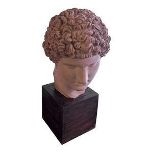 Classical Roman Terracotta Bust