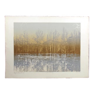 Paula Crane "Reflections Series" Hand Signed Etching Art Print, Trial Proof Obo For Sale