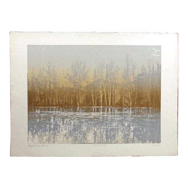 Paula Crane "Reflections Series" Hand Signed Etching Art Print, Trial Proof Obo For Sale