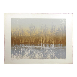 Paula Crane "Reflections Series" Hand Signed Etching Art Print, Trial Proof Obo