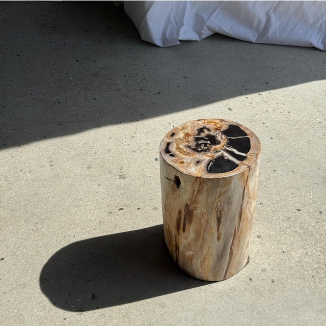 Contemporary Multicoloured Petrified Wood Side Table For Sale - Image 3 of 16