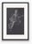 Atelier Aria Lumae Wilhelm Zahn Pompeian Flora Primavera Fresco Graphite Study High Contrast Fine Art Gallery Board Print 16 X 24 For Sale - Image 14 of 16
